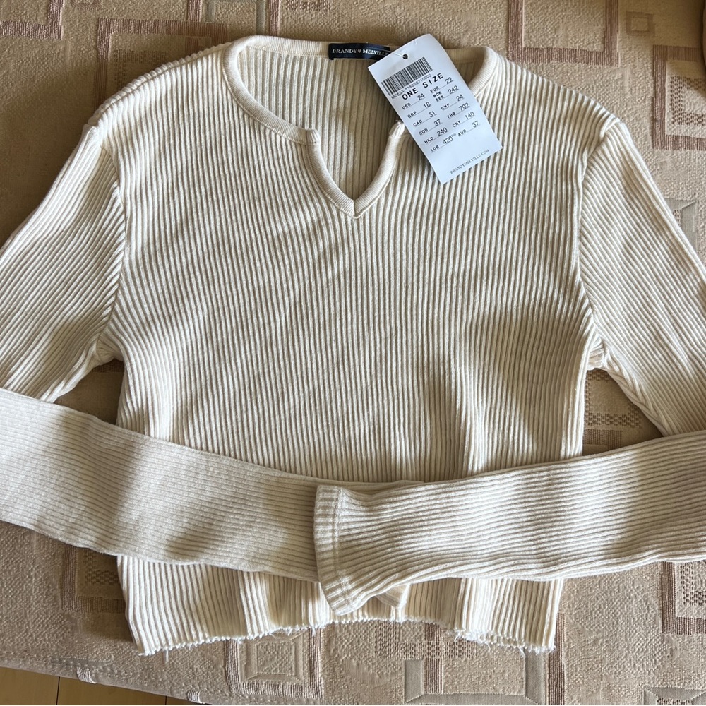 Brandy Melville Top